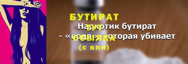 шишки Снежногорск