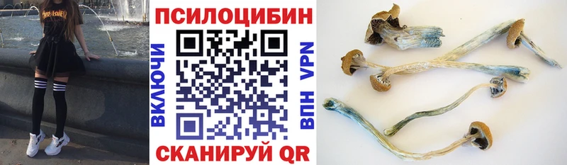 hydra как зайти  Осташков  Псилоцибиновые грибы мицелий 